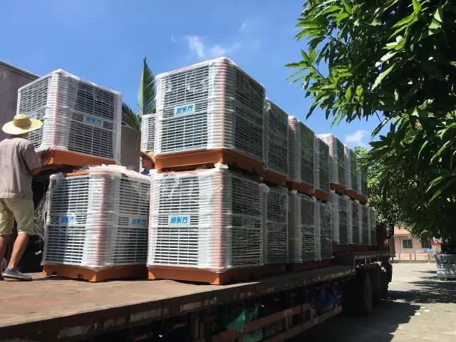 工廠車間快速降溫方法，你知道嗎？